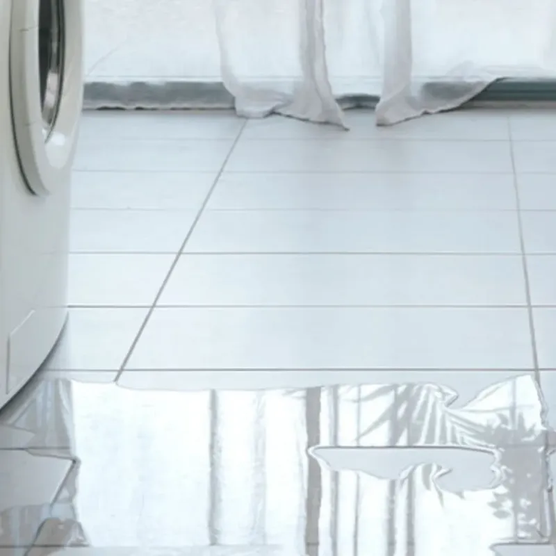 Appliance Leak Cleanup in Virden, IL