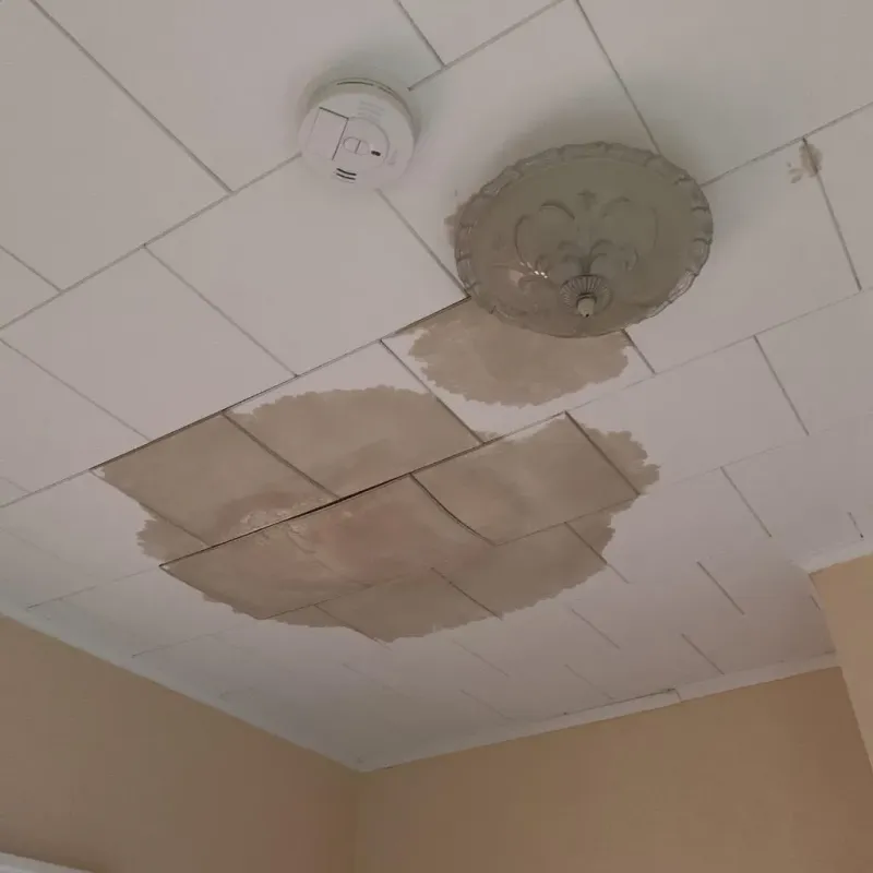 Ceiling Water Damage Repair in Virden, IL
