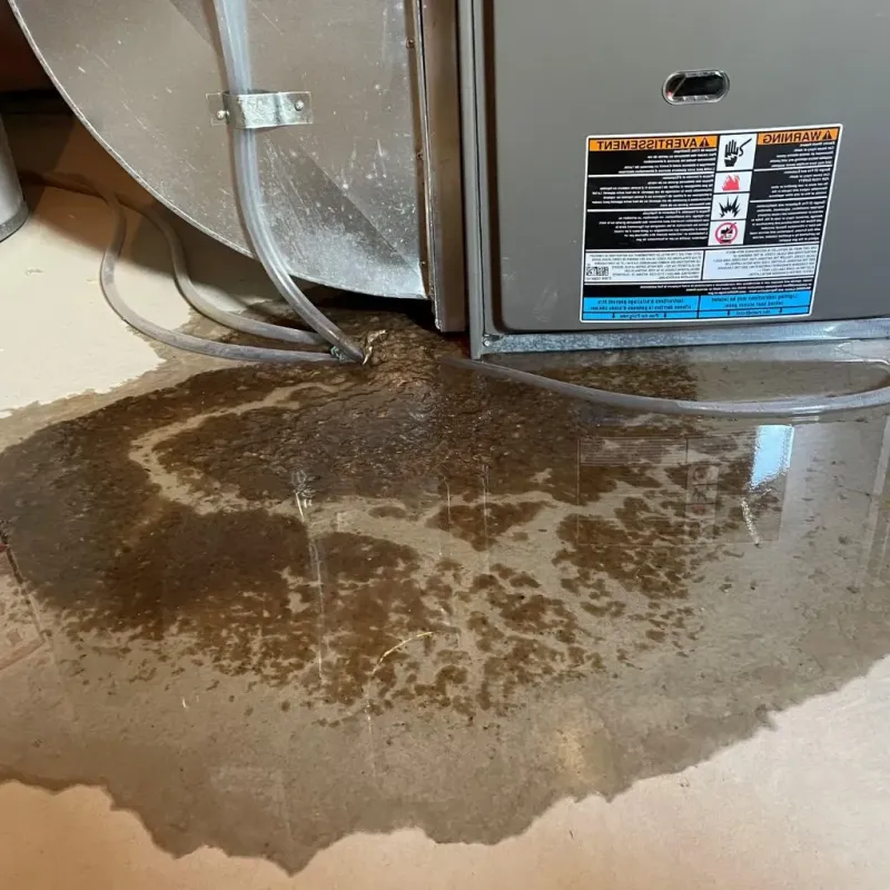 Pipe Burst and Leak Restoration in Virden, IL