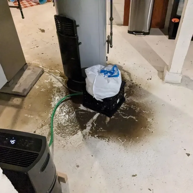 Sewage Backup Cleanup Service in Virden, IL
